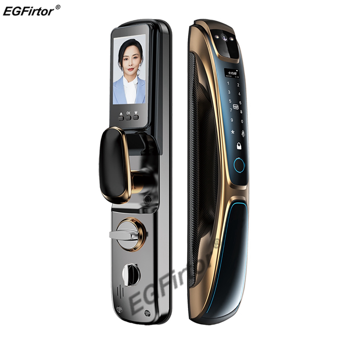 Smart Home Dashboard - EGFirtor Cat Eye Fingerprint Wifi Smart
