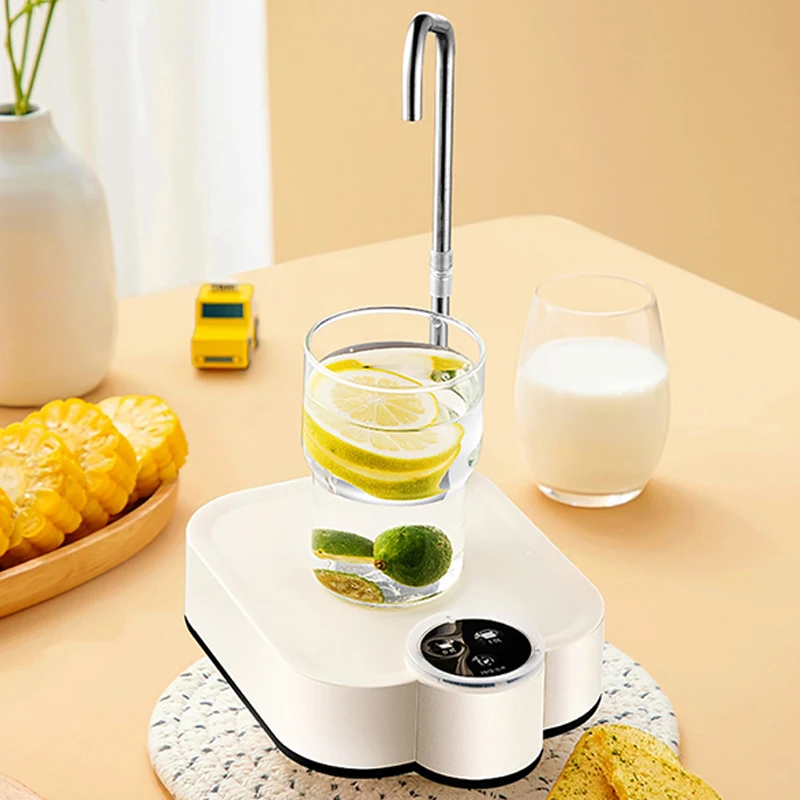 Smart Electric Water Pump Rech - Smart Home Yam Pounder 리뷰 및 가격