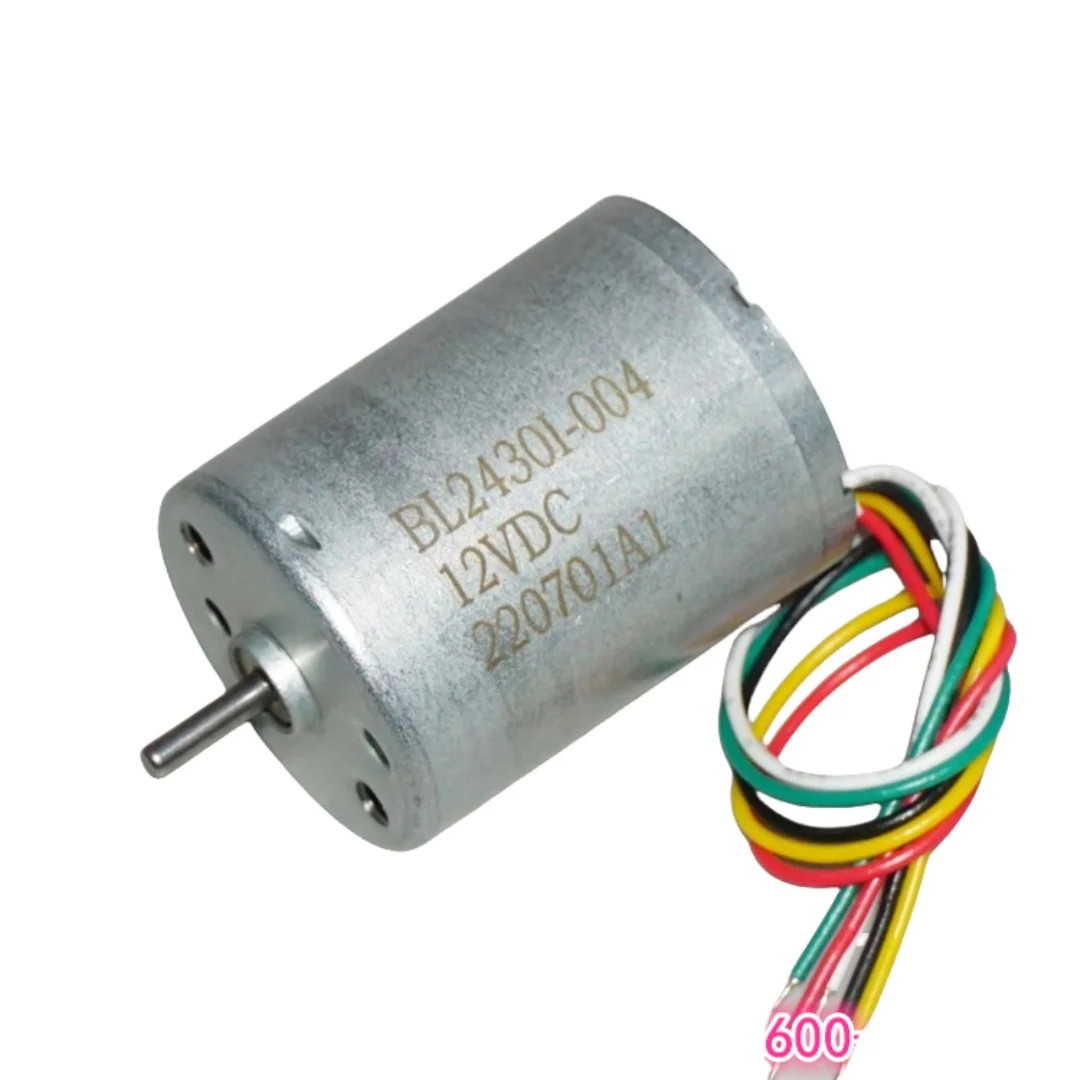 Electric Motor Brushless DC 12 - Smart Home Yam Pounder 리뷰 및 가격