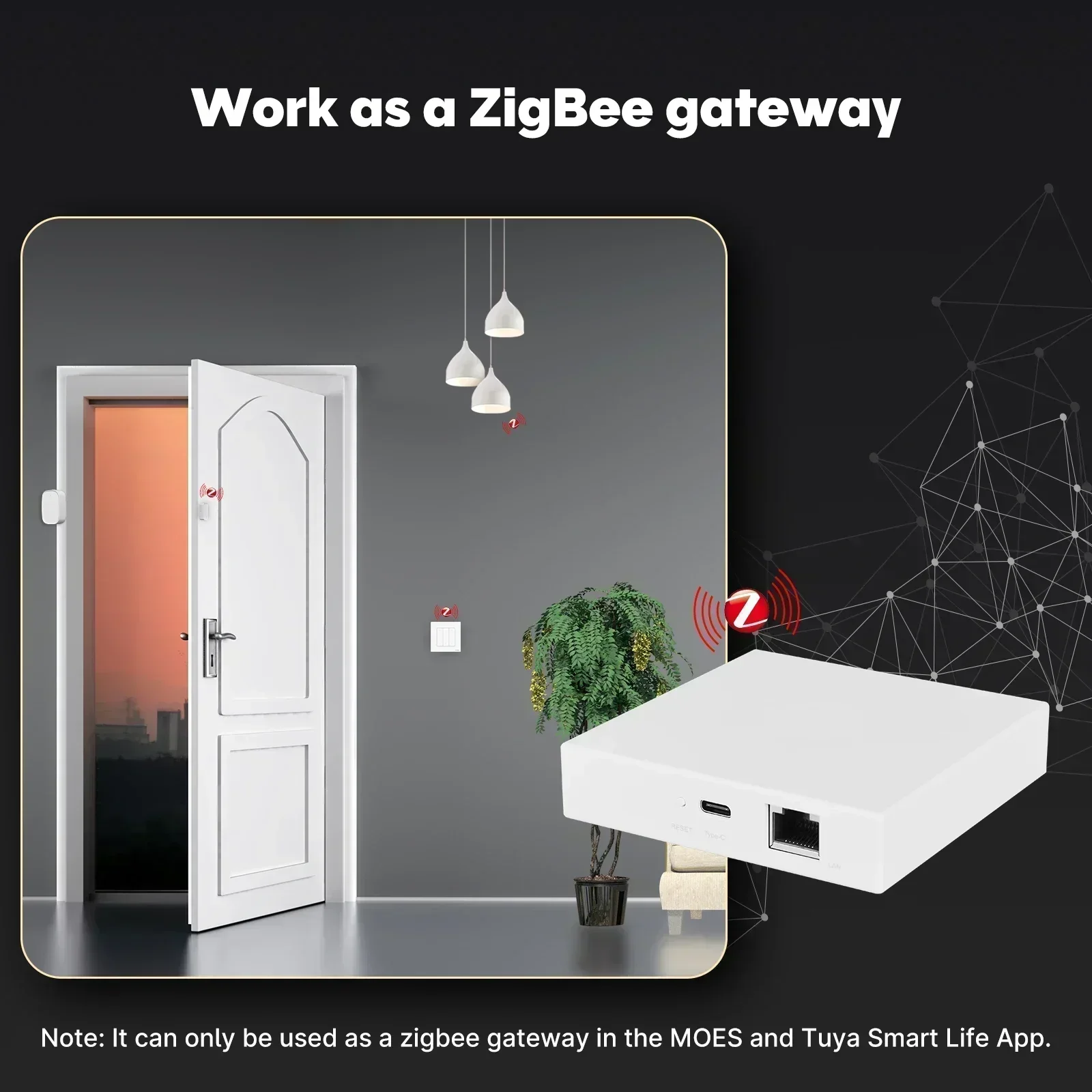 MOES Tuya Zigbee Matter Thread - Smart Home Gira 리뷰 및 가격