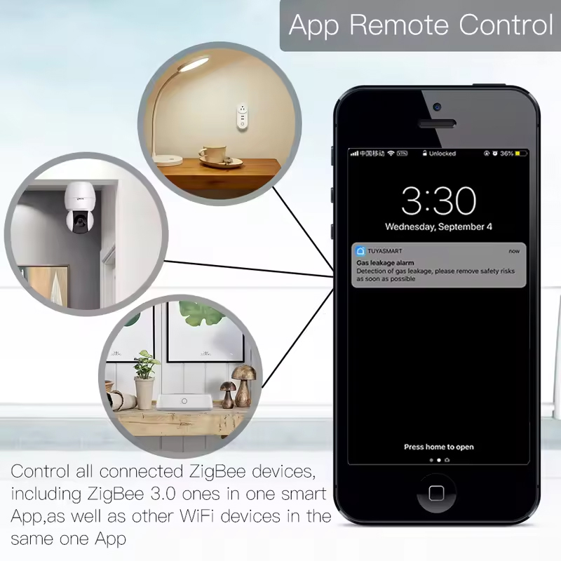 Moes Tuya ZigBee 3.0 Smart Gat - Smart Home Gira 리뷰 및 가격