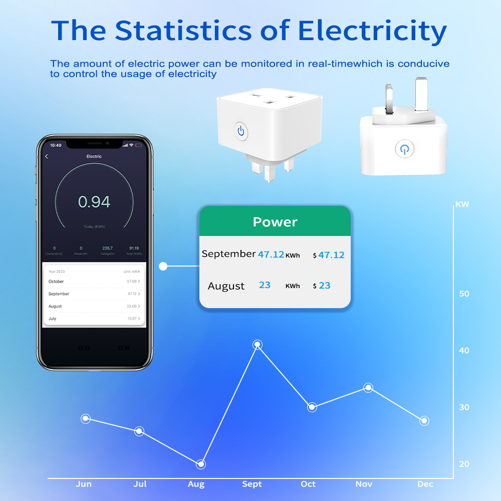 Tuya Smart Socket 16A/20A WiFi - Smart Home Zigbee Gateway 리뷰 및 가격