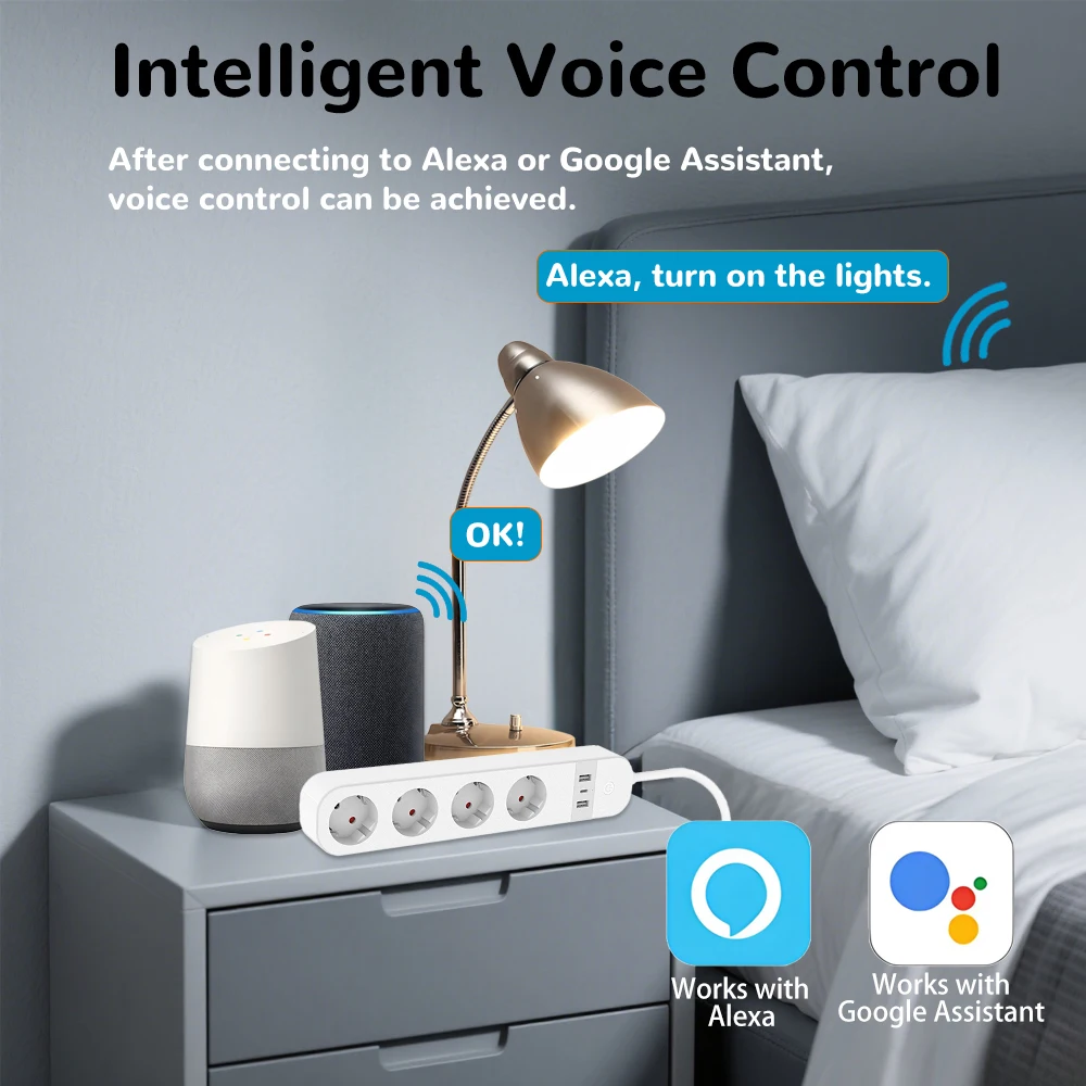 BORUIDAPLS FR Plug WiFi Smart  - Smart Power Strip 리뷰 및 가격