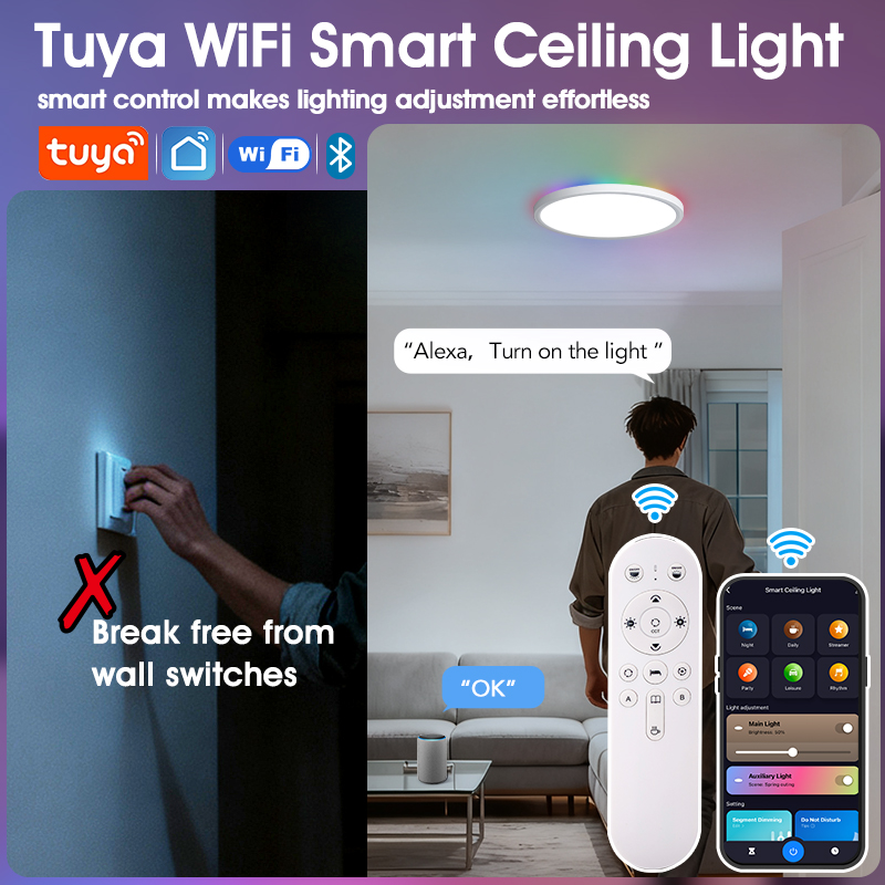 TUYA Ceiling Lamp RGB Flowing  - Smart Home For Pc 리뷰 및 가격