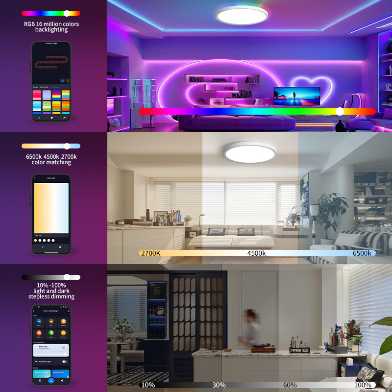 TUYA Ceiling Lamp RGB Flowing  - Smart Home For Pc 리뷰 및 가격