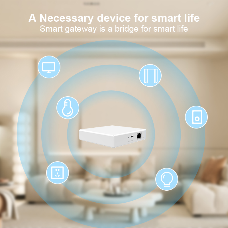 Matter Gateway Hub Homekit Tuy - Smart Home Gira 리뷰 및 가격