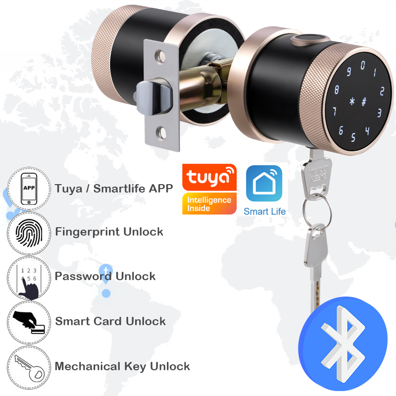 Fingerprint Door Lock Tuya Blu - Smart Home Keyboard 리뷰 및 가격