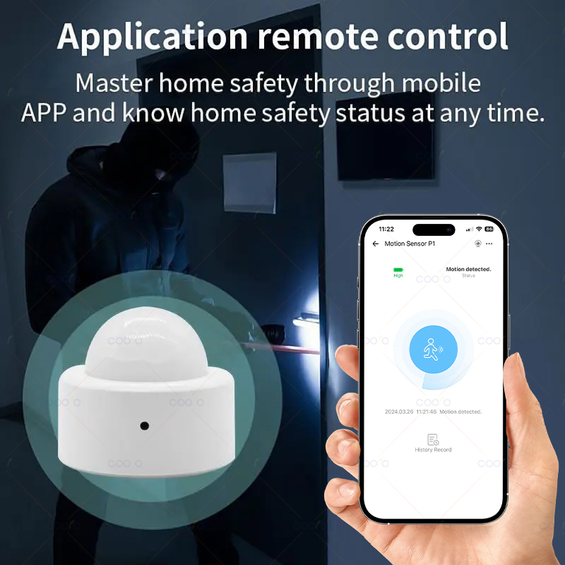 Zigbee Mini PIR Motion Sensor  - Smart Home Zigbee Gateway 리뷰 및 가격