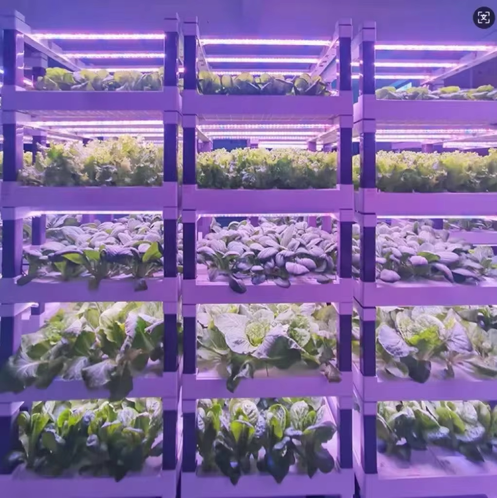 Hydroponic Grow System Greenho - Smart Home Device 리뷰 및 가격